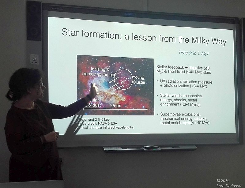 Seminar: Star clusters as footprints of star formation by Angela Adamo, 2019