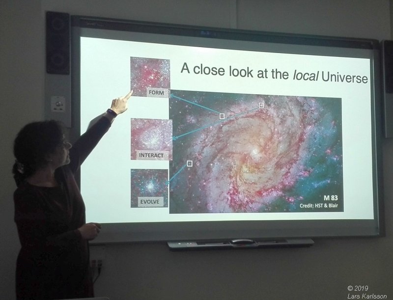 Seminar: Star clusters as footprints of star formation by Angela Adamo, 2019