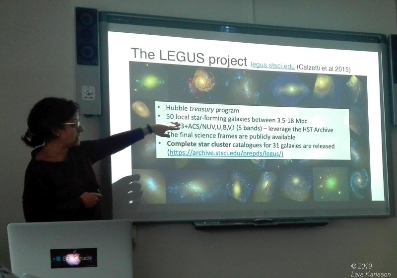 Seminar: Star clusters as footprints of star formation by Angela Adamo, 2019