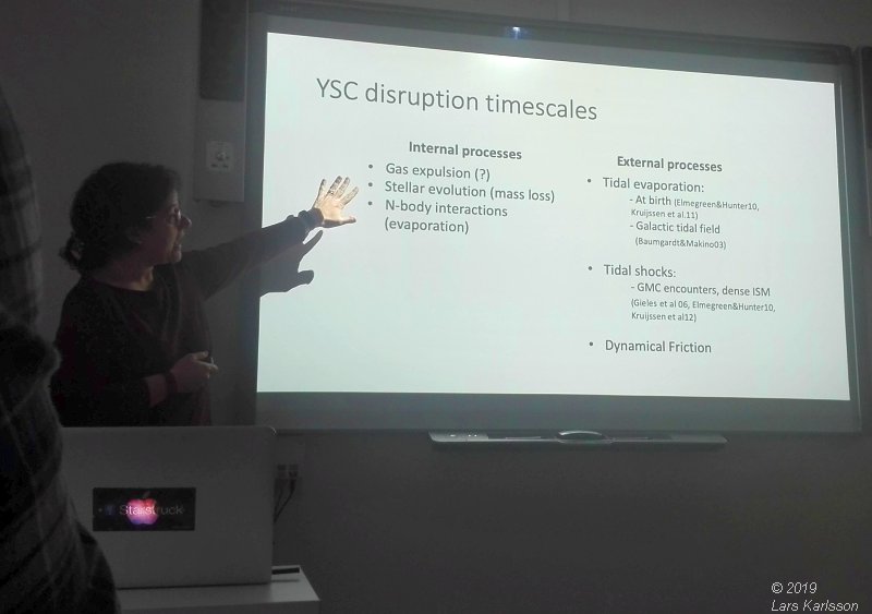 Seminar: Star clusters as footprints of star formation by Angela Adamo, 2019