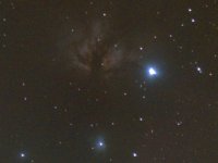 NGC 2023, Nebula