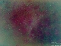 NGC 7000, Nebula