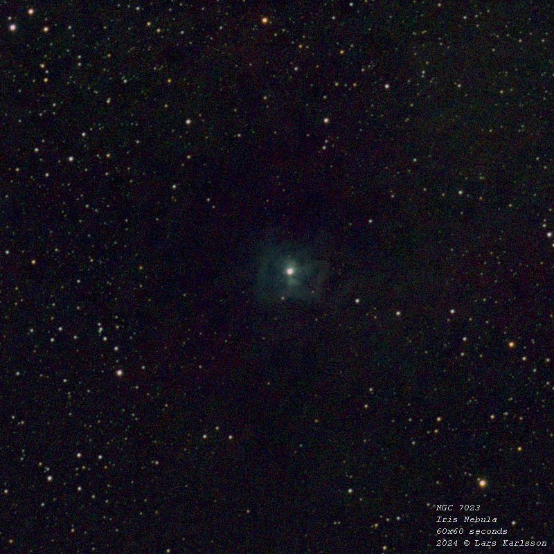 NGC 7023 Iris Nebula, 2024