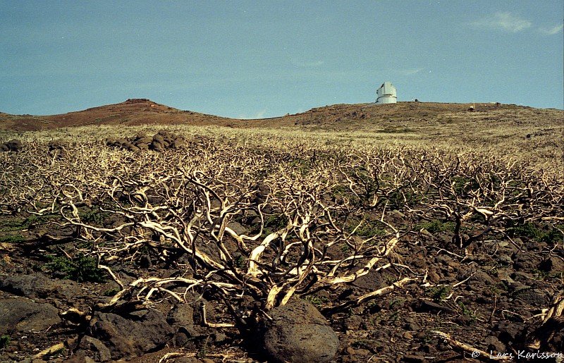 Burned out by fire, La Palma