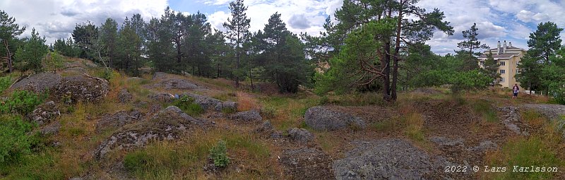 Galgbacken vid Hammarbybacken, 2022