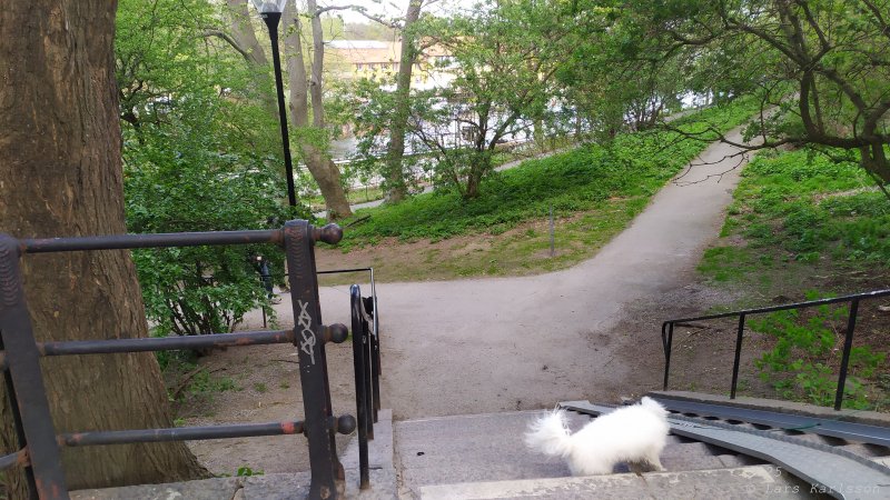 En promenad från Liljeholmen, Hornstull och vidare till Skinnarviksparken, Stockholm 2025