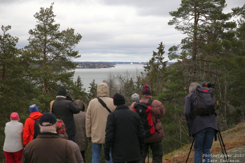 Guldbron anländer till Stockholm och nya Slussen mars 2020