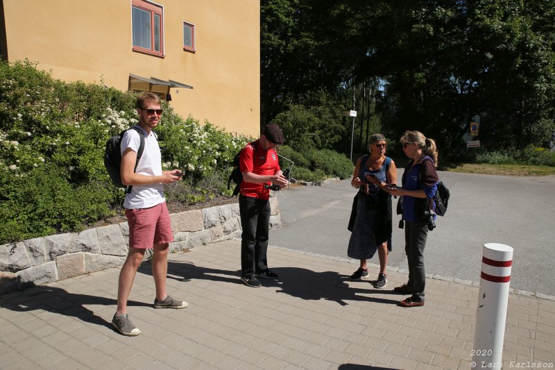 Summer pohotowalk in Hagsätra forest, 2020