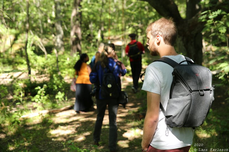 Summer pohotowalk in Hagsätra forest, 2020