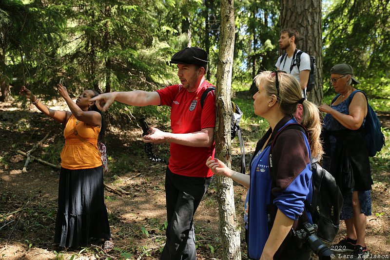 Summer pohotowalk in Hagsätra forest, 2020