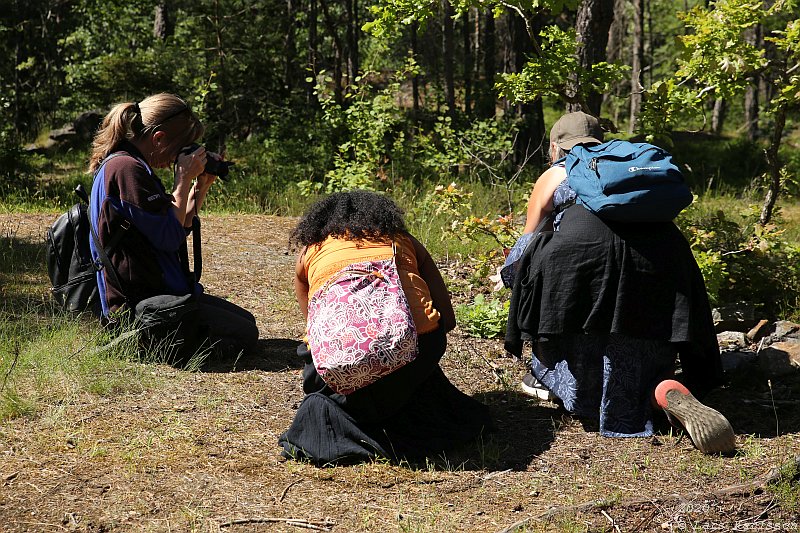 Summer pohotowalk in Hagsätra forest, 2020