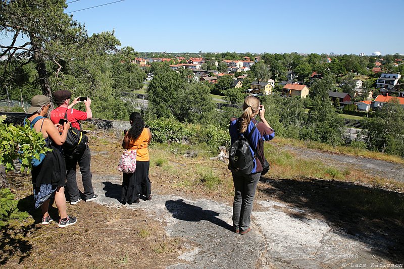 Summer pohotowalk in Hagsätra forest, 2020