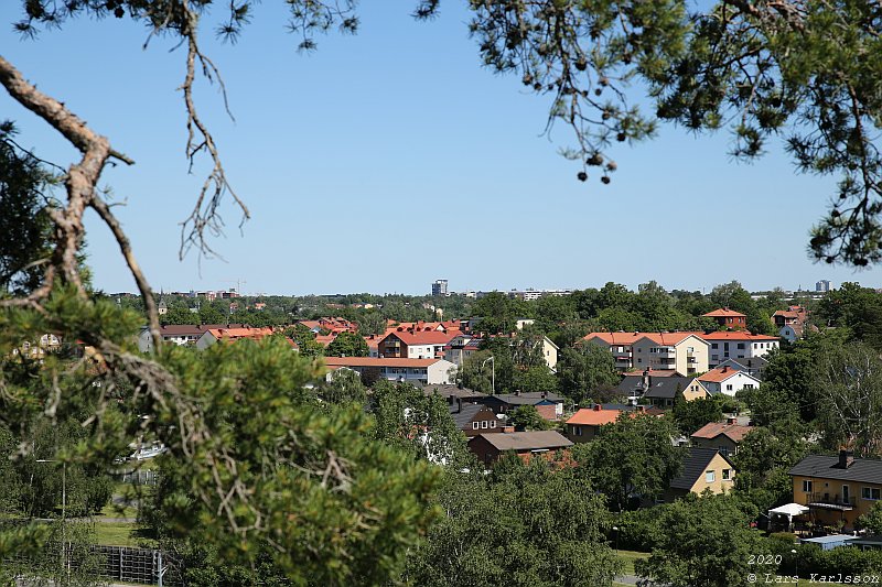 Summer pohotowalk in Hagsätra forest, 2020