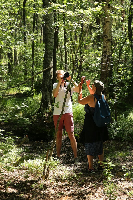 Summer pohotowalk in Hagsätra forest, 2020