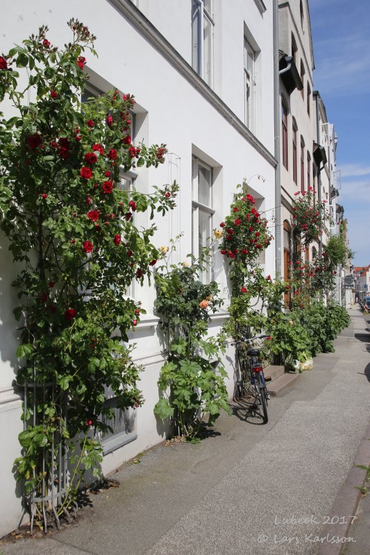 Baltic Sea cities: Lubeck