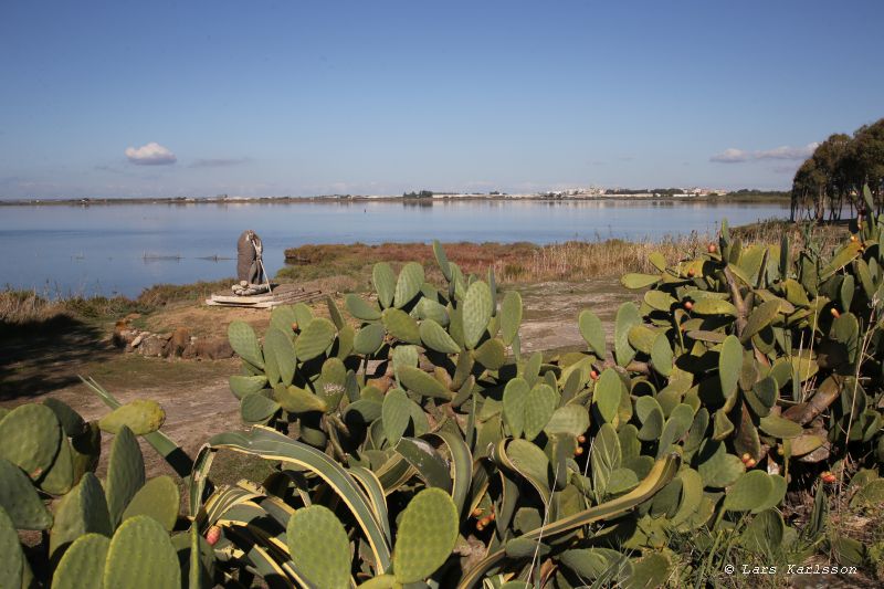 Italy, Sardinia, Oristano to Capoterra