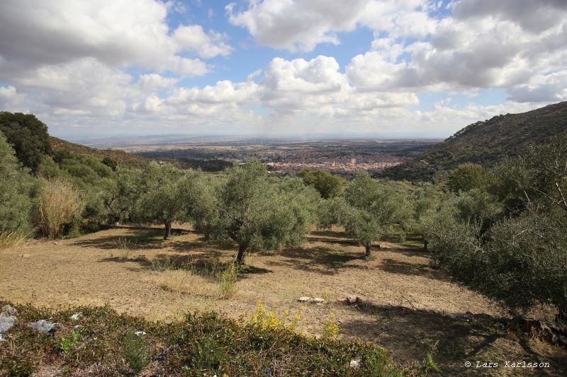 Italy, Sardinia, Oristano to Capoterra