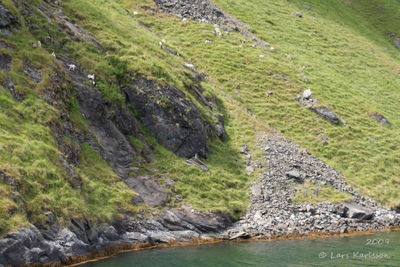 Cruise on fjords of Norway, Sognefjorden, Aurlandsfjorden, Flåm