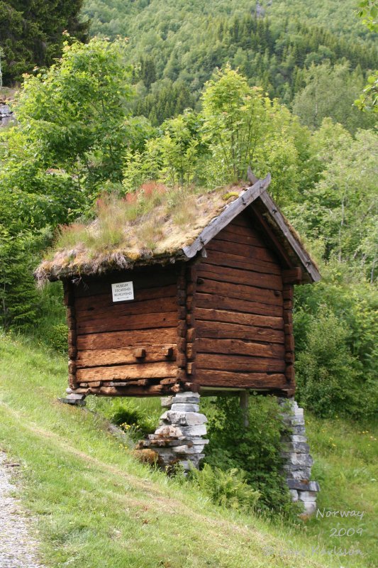 Cruise on fjords of Norway, Sognefjorden, Aurlandsfjorden, Gudvangen