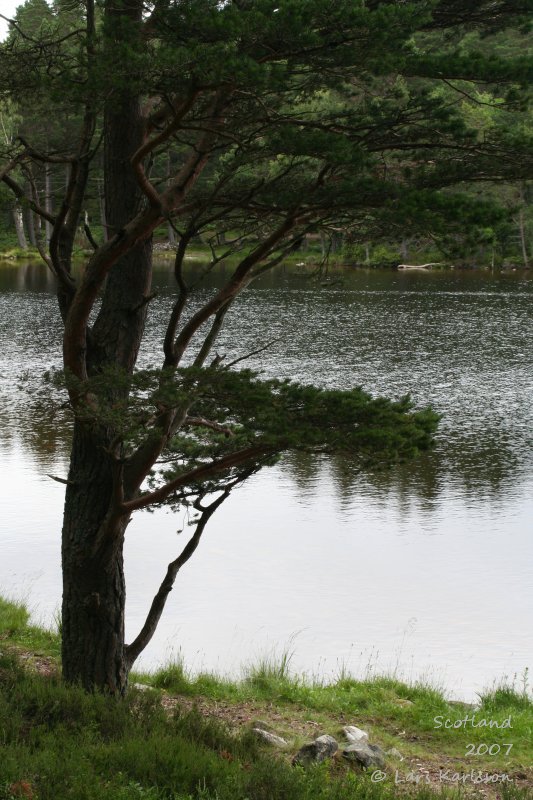 Loch an Eilein