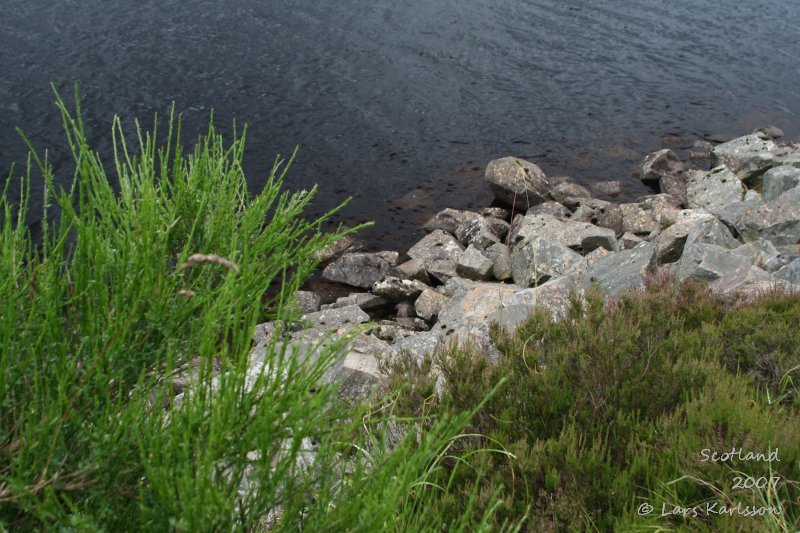 Achanalt, Scottish Highlands