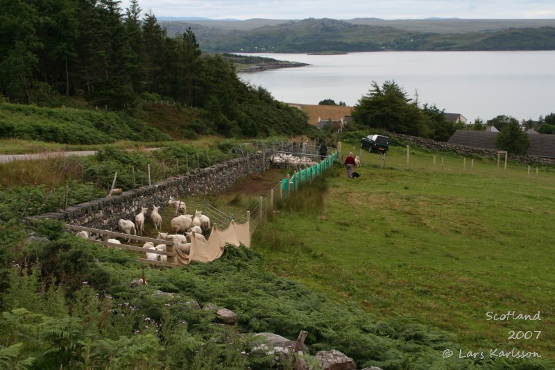 Loch Tollaidh