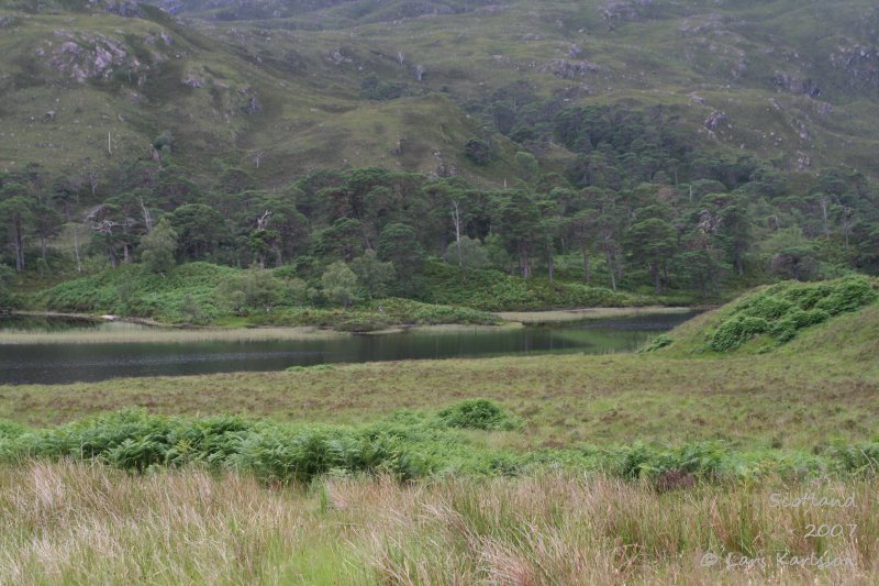 Torridon