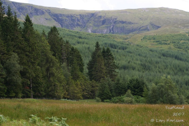 Bridge of Orchy, River Orchy