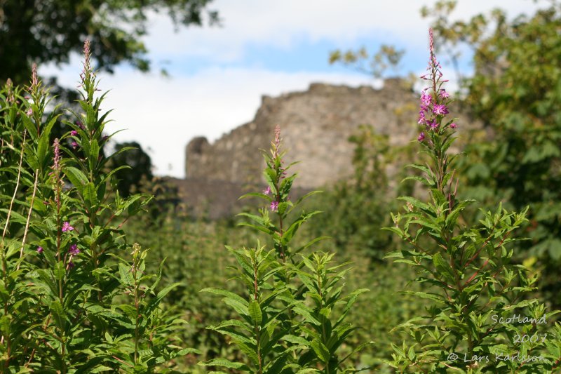 Dunstaffnage Castle