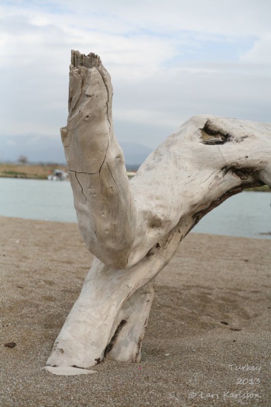 Turkey, Manavgat river boat tour