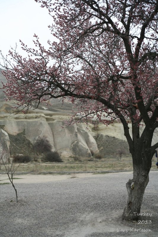 Göreme National park and Pasabag