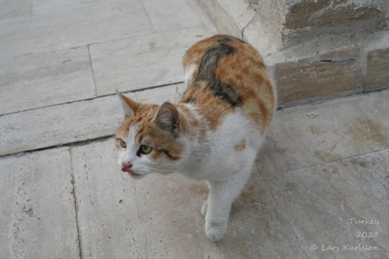 Cappadocia, Göreme