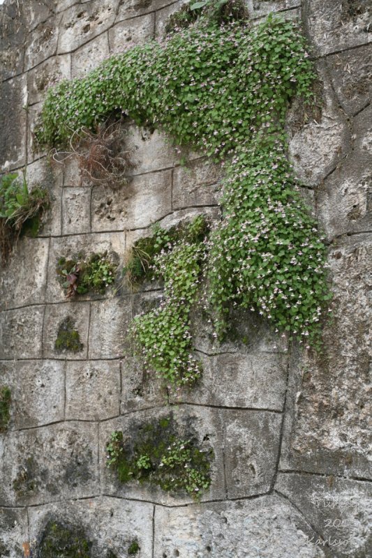 Antalya old town