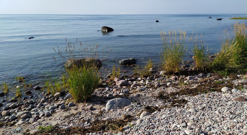 A visit to the Swedish island Gotland, 2022