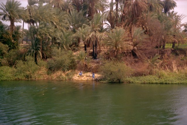 Evert besöker Egypten och Suez kanalen år 1992