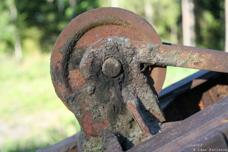 The abandoned truck in the forest, 2013