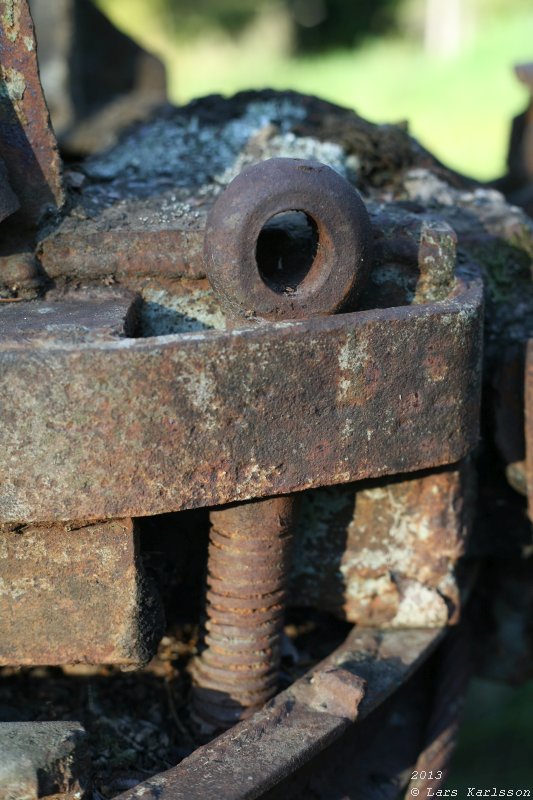 The abandoned truck in the forest, 2013