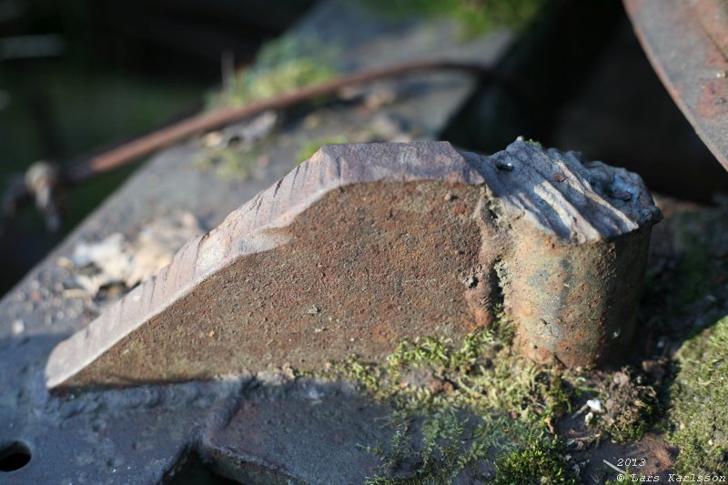 The abandoned truck in the forest, 2013