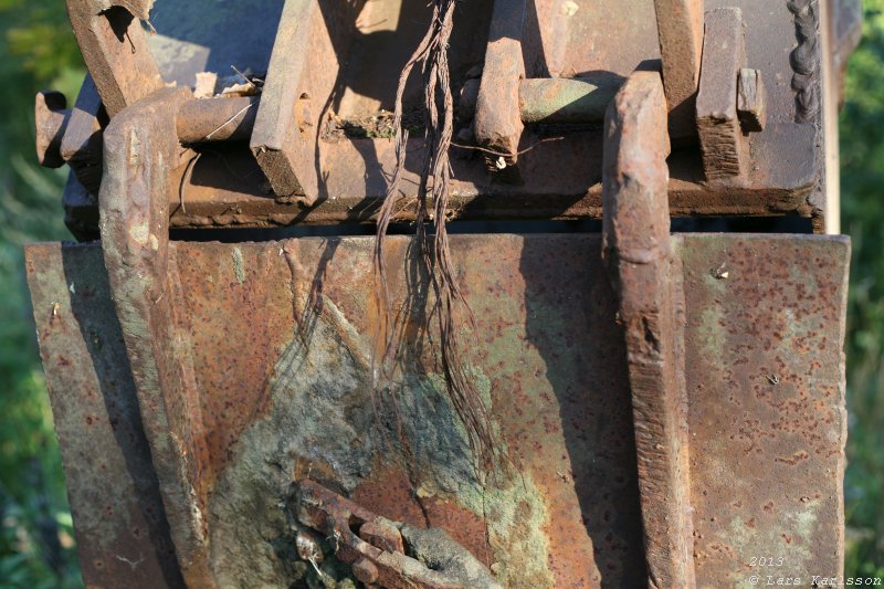 The abandoned truck in the forest, 2013