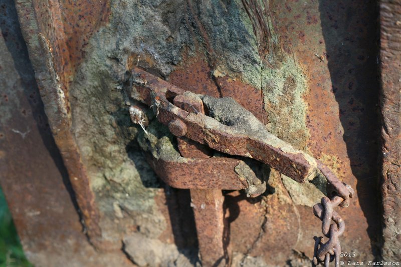 The abandoned truck in the forest, 2013