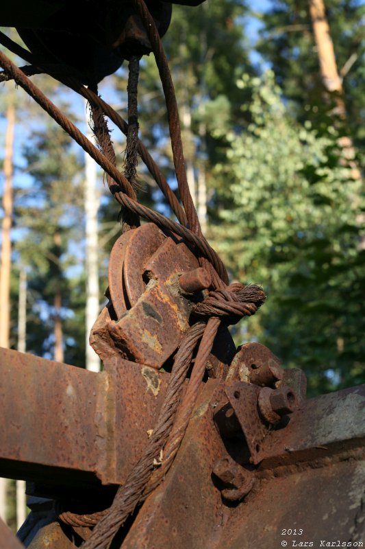 The abandoned truck in the forest, 2013