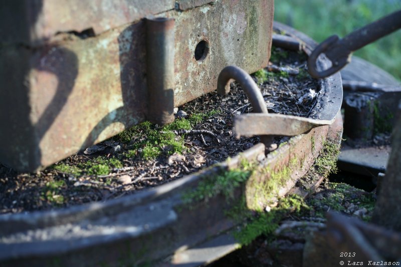 The abandoned truck in the forest, 2013