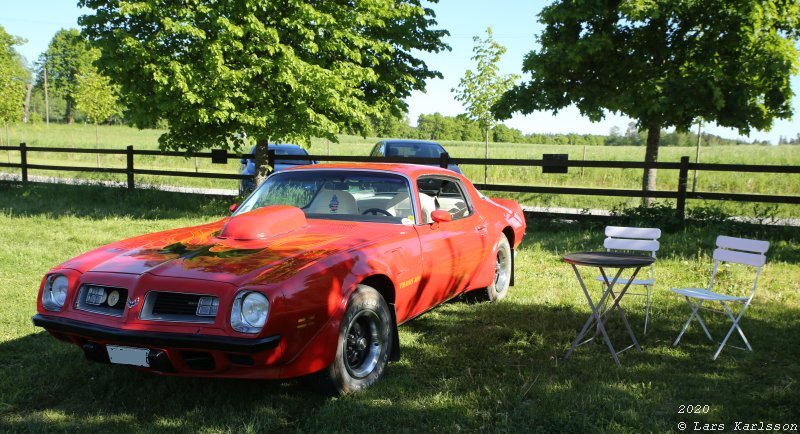 Car meeting at The Nut House, 2020