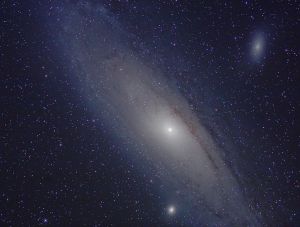 M31