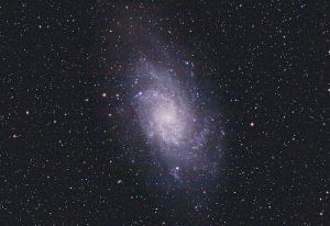 Galaxy M33