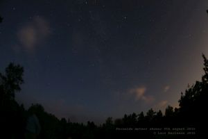 Perseids