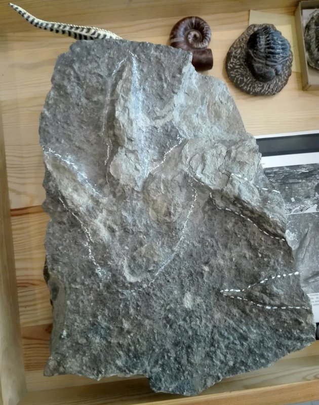 Meteorites, Naturhistoriska Riksmuseet 2019