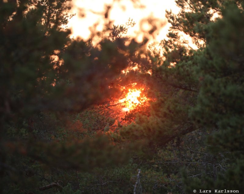 Sunset Bllod Moon 2018
