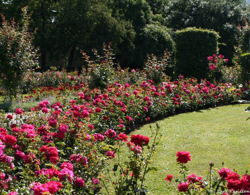 Prague observatory garden