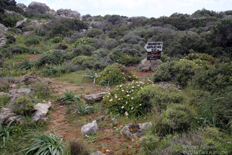 A visit to Astronomy Cafe in Rhodes Faliraki, 2019